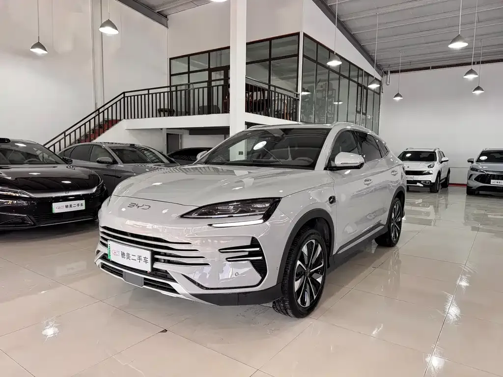 BYD PLUS New Energy 2025 из CN, фото 1