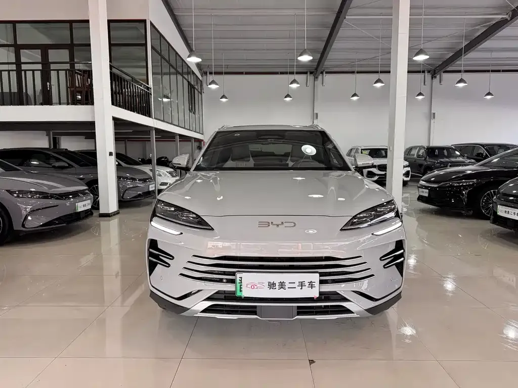 BYD PLUS New Energy 2025 из CN, фото 2