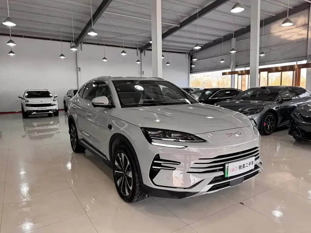 BYD PLUS New Energy 2025 из CN, фото 3