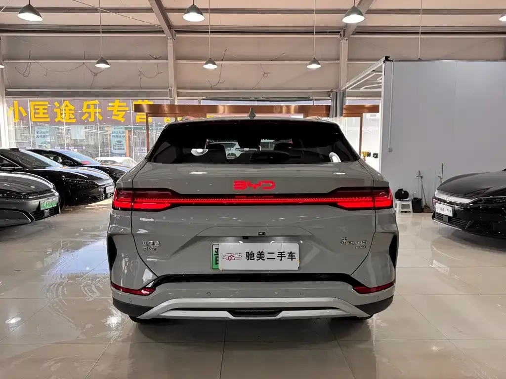 BYD PLUS New Energy 2025 из CN, фото 5