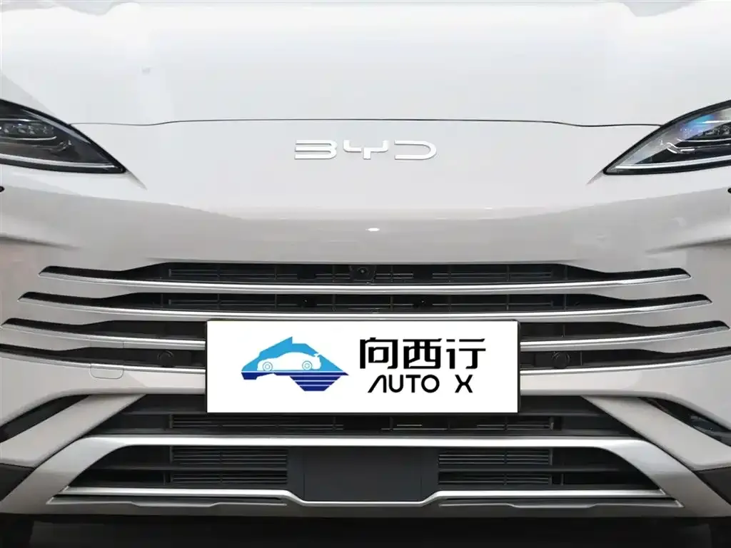 BYD PLUS New Energy 2025 из CN, фото 10