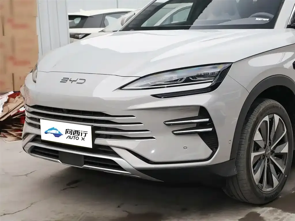 BYD PLUS New Energy 2025 из CN, фото 3