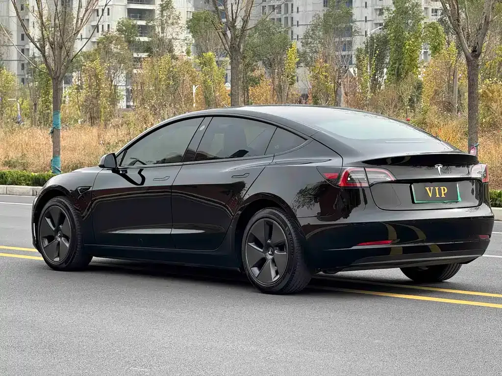 Tesla Model 3 2023 из CN, фото 6