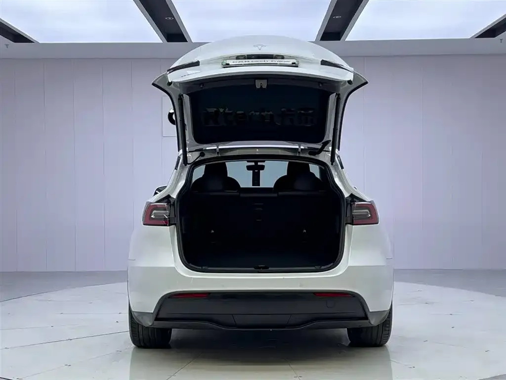 Tesla Model Y 2023 из CN, фото 9