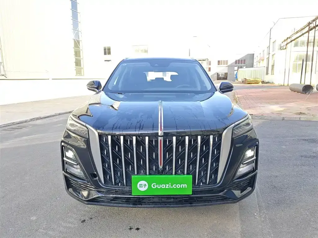 Hongqi HS5 2024 из CN, фото 3
