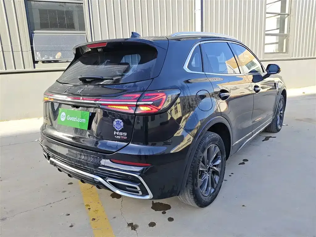Hongqi HS5 2024 из CN, фото 7