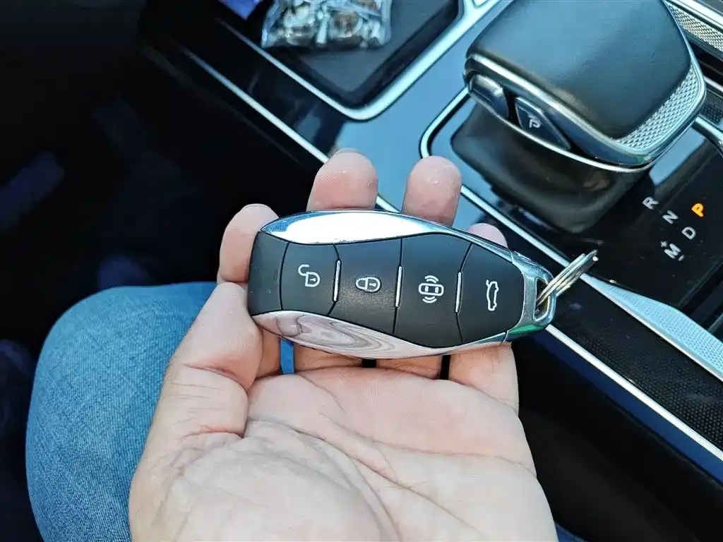 Hongqi HS5 2024 из CN, фото 9