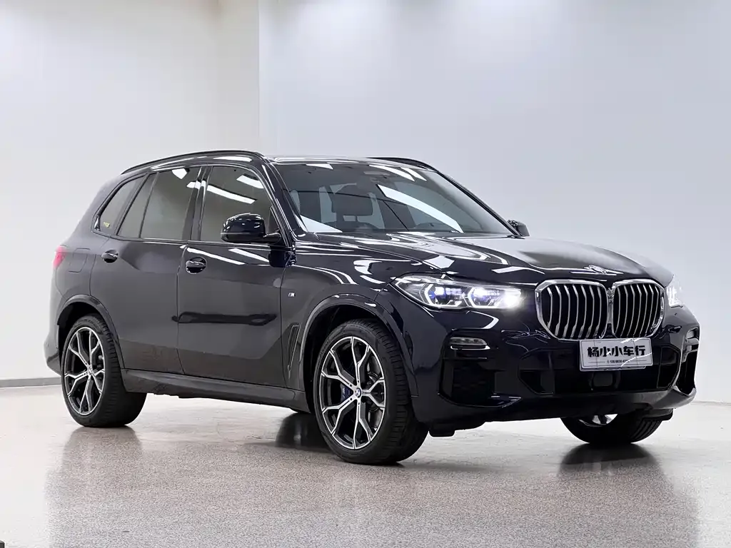BMW X5 (Import) 2021 из CN, фото 3