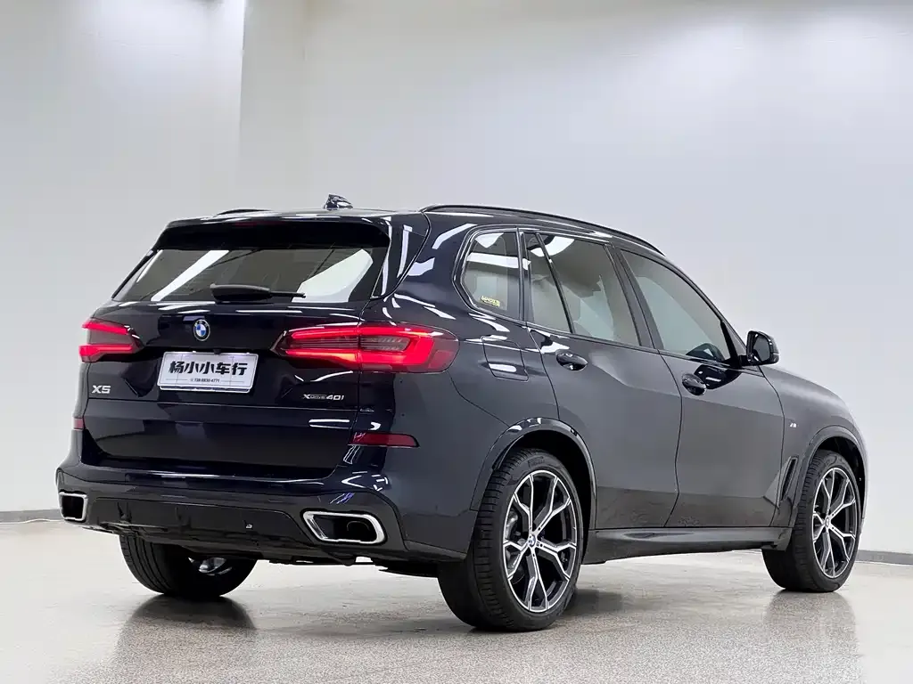 BMW X5 (Import) 2021 из CN, фото 5