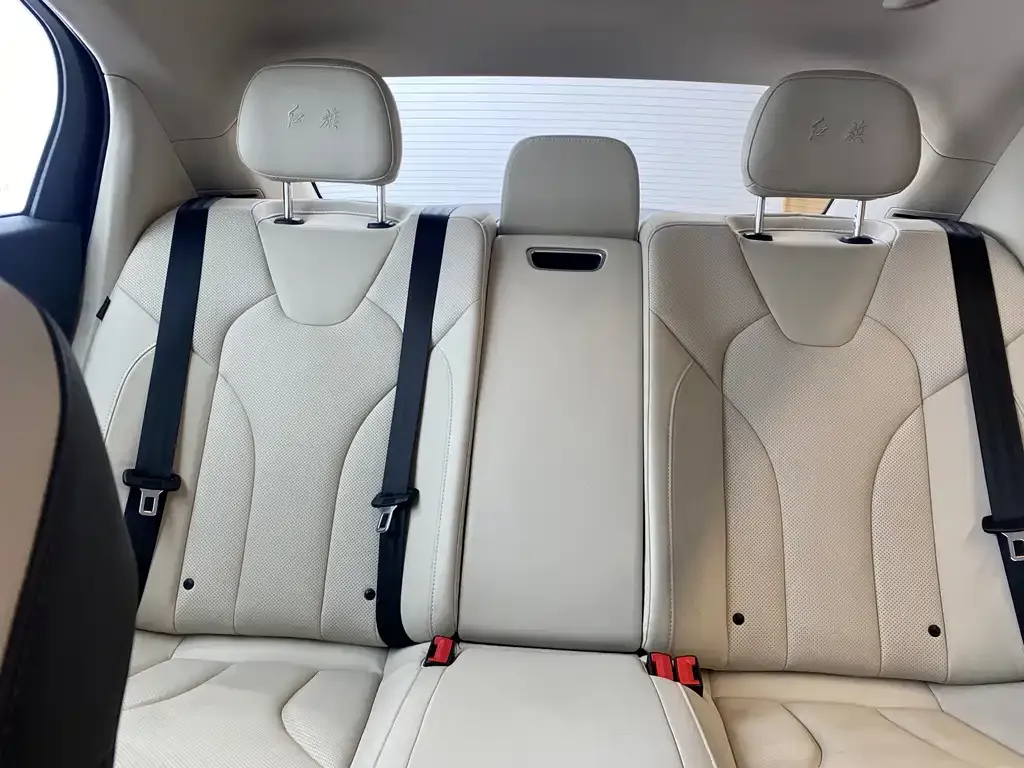Hongqi E-QM5 — фото 9