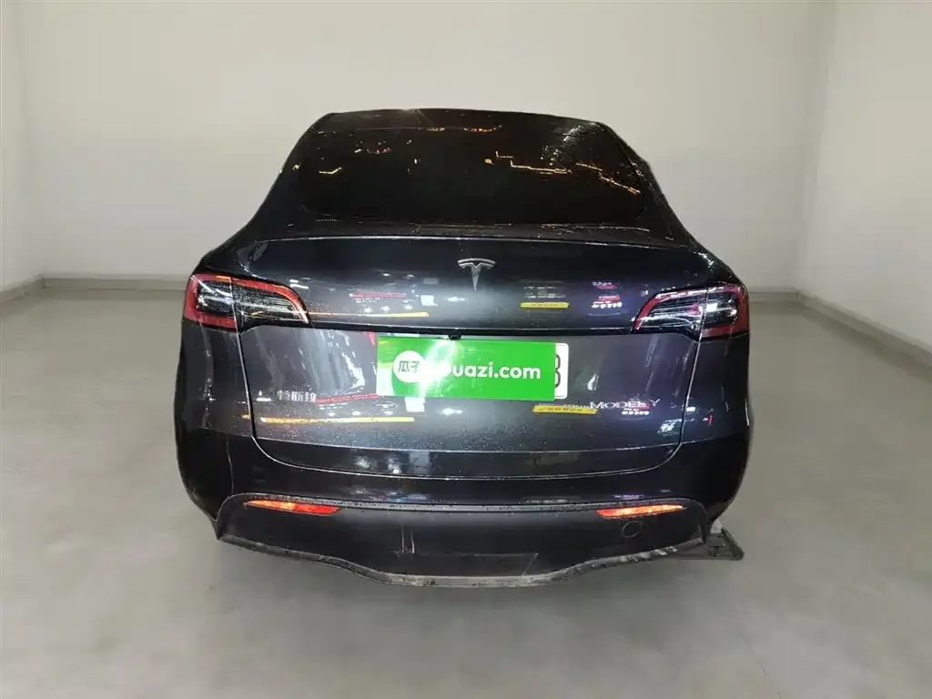 Tesla Model Y 2024 из CN, фото 6