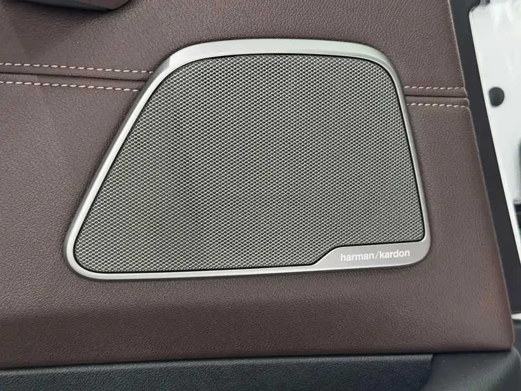 BMW 5 Series 2021 из CN, фото 10