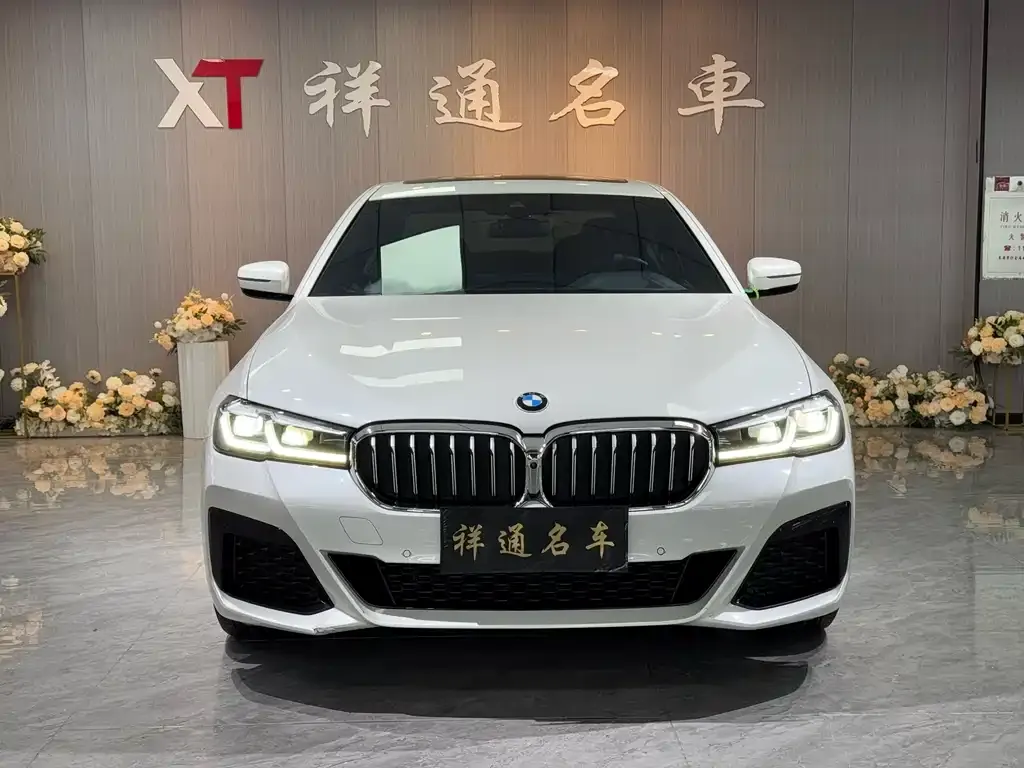 BMW 5 Series 2021 из CN, фото 2