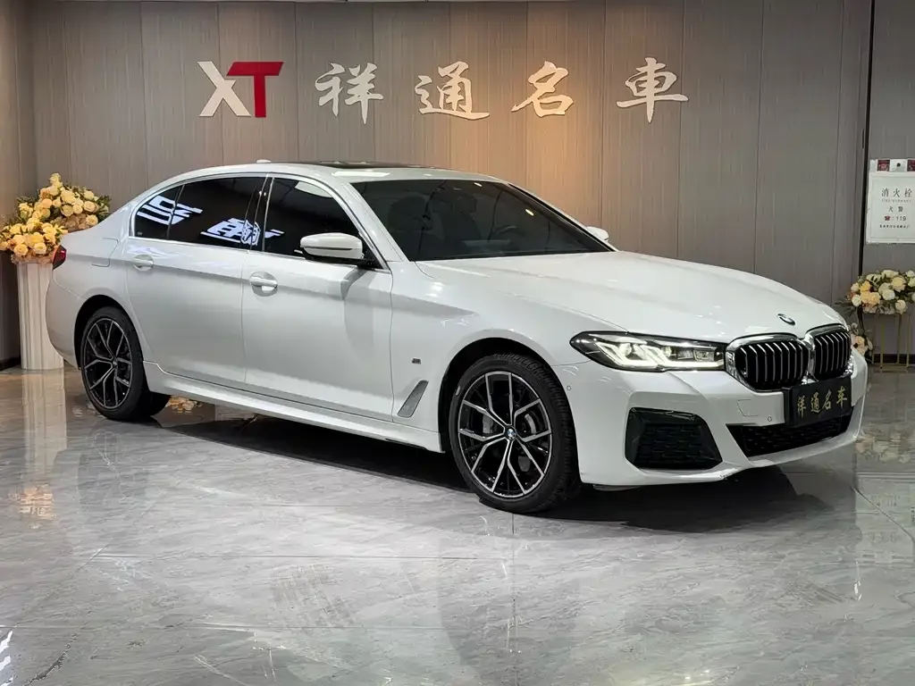 BMW 5 Series 2021 из CN, фото 3