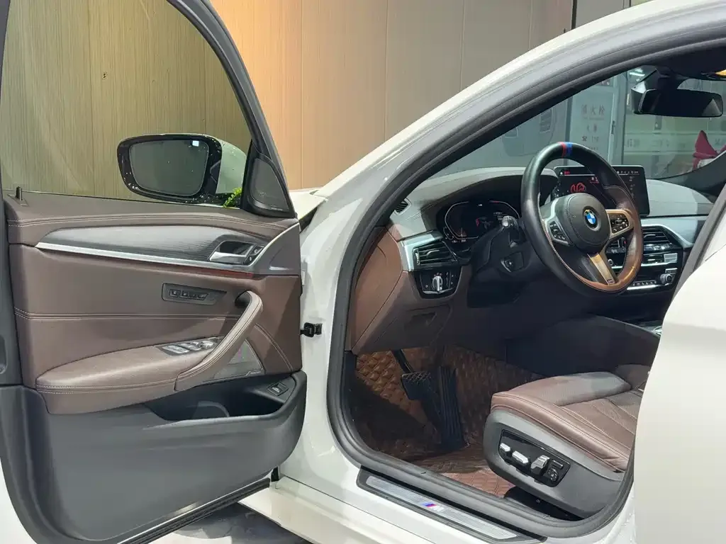 BMW 5 Series 2021 из CN, фото 4