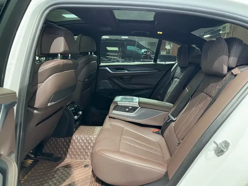 BMW 5 Series 2021 из CN, фото 7