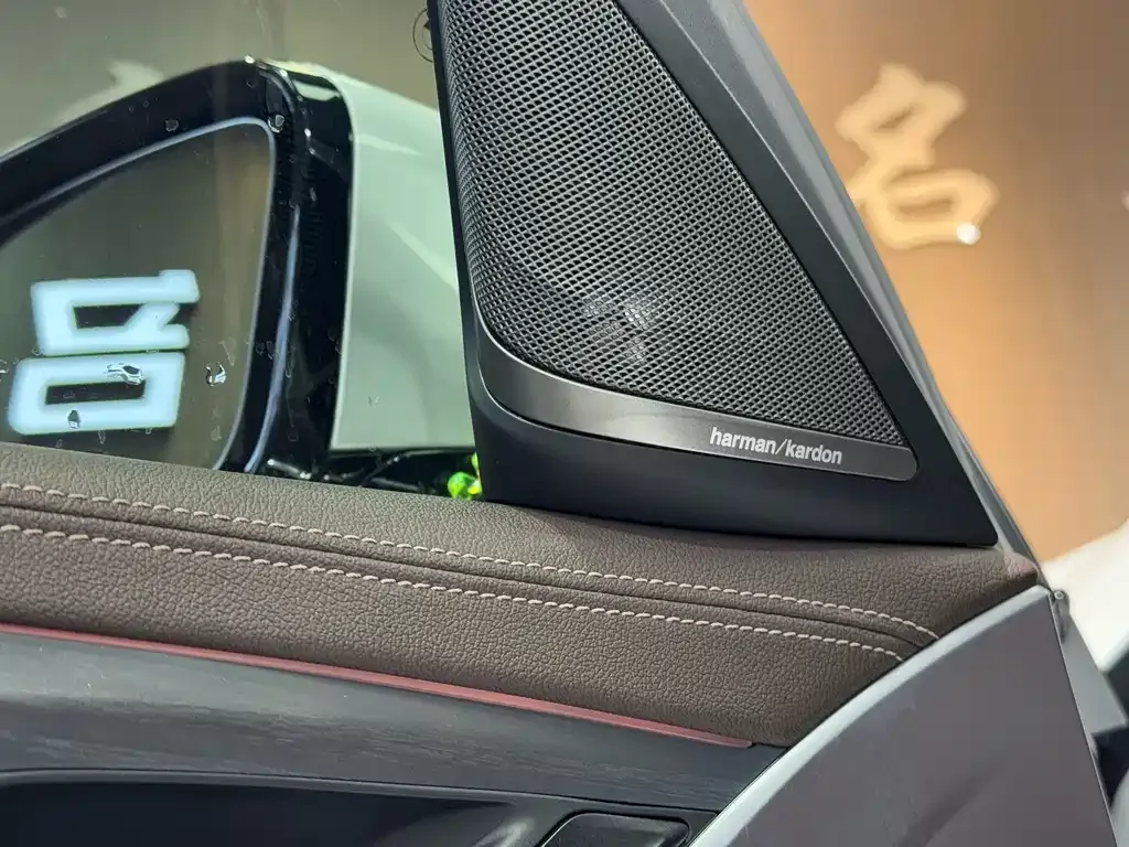 BMW 5 Series 2021 из CN, фото 9