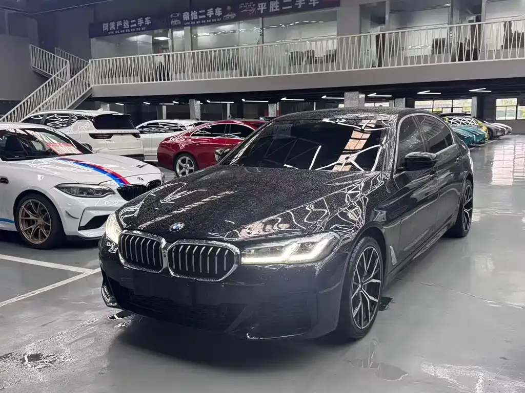 BMW 5 Series 2021 из CN, фото 1