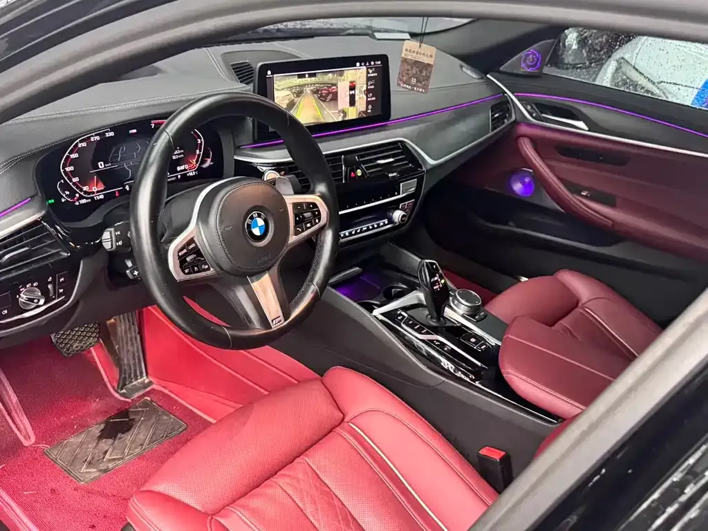 BMW 5 Series 2021 из CN, фото 6