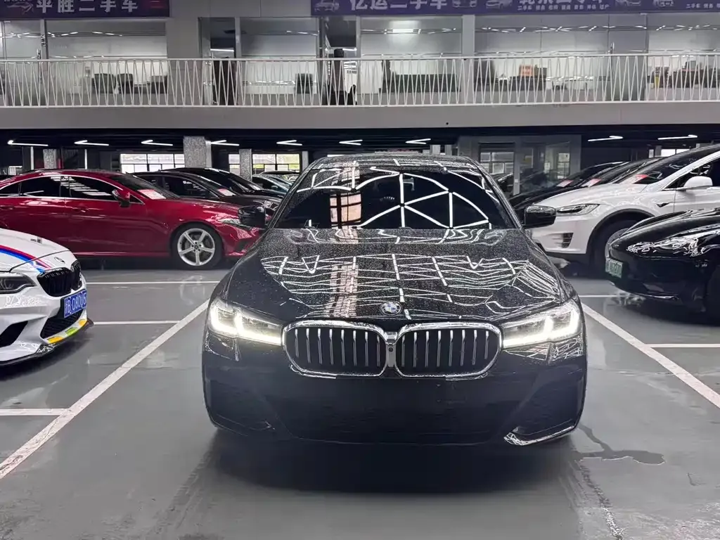 BMW 5 Series 2021 из CN, фото 7