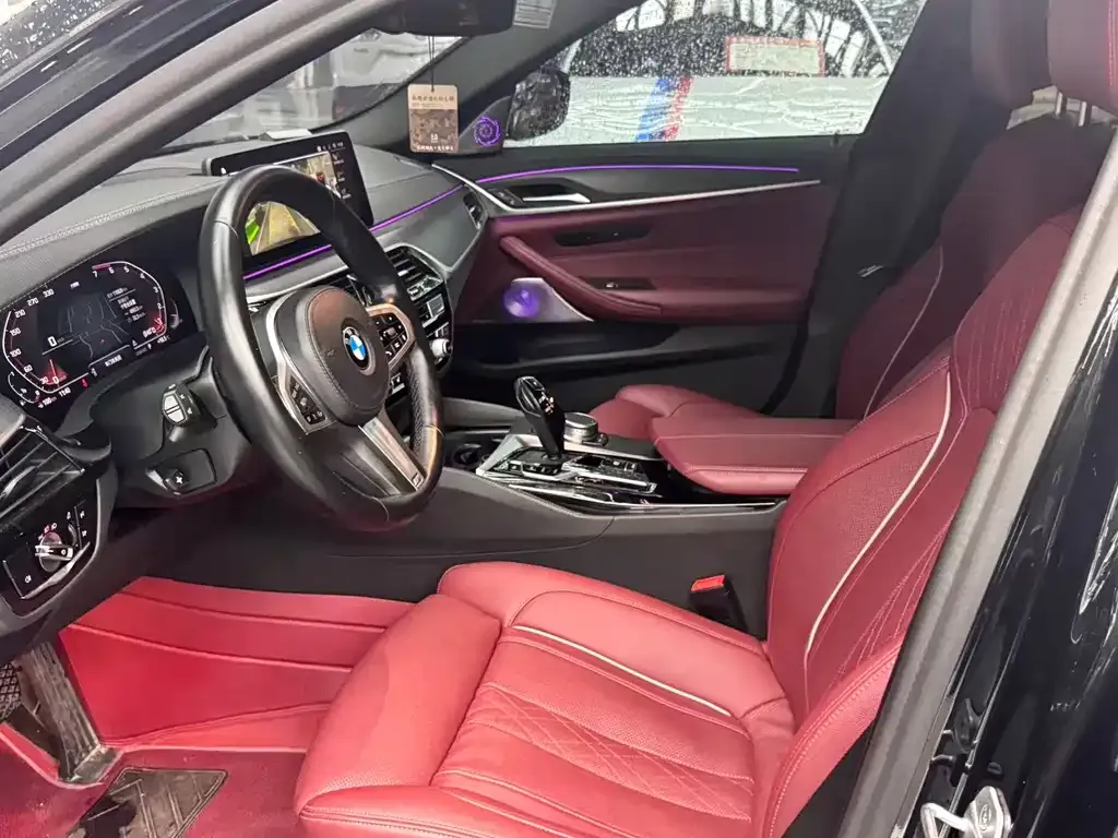 BMW 5 Series 2021 из CN, фото 8