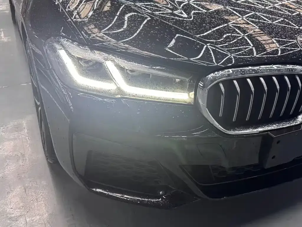 BMW 5 Series 2021 из CN, фото 9