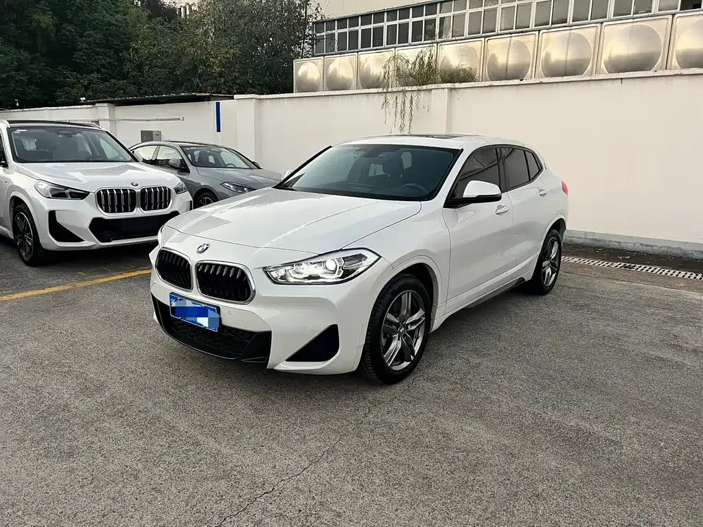 BMW X2 2022 из CN, фото 1