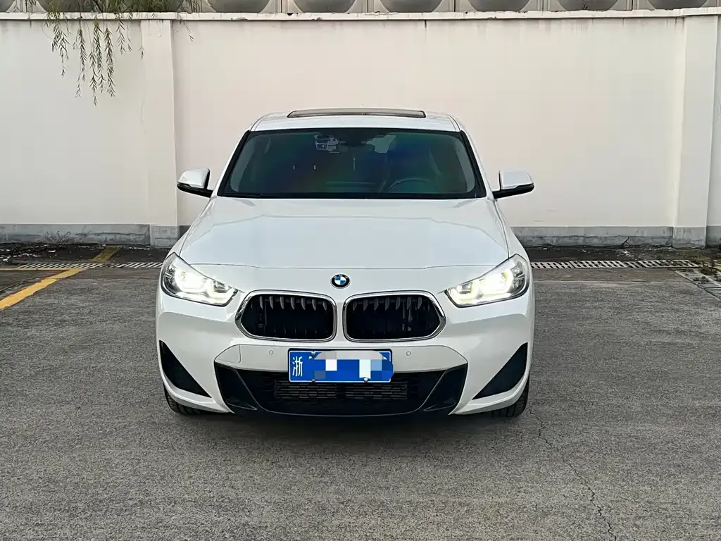 BMW X2 2022 из CN, фото 2