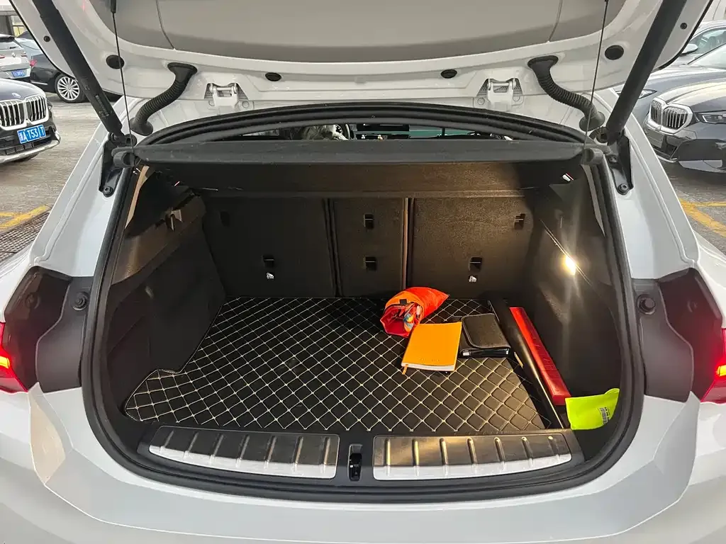 BMW X2 2022 из CN, фото 8