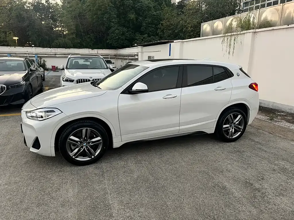 BMW X2 2022 из CN, фото 9