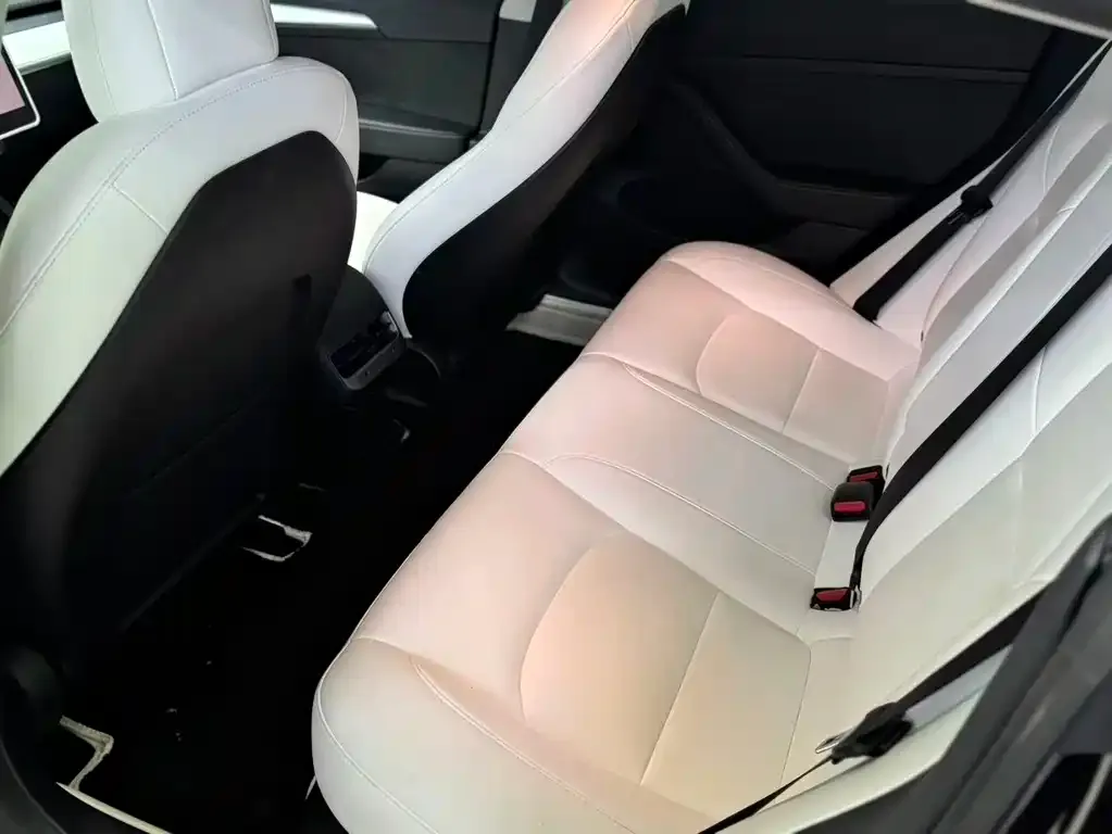 Tesla Model 3 2022 из CN, фото 5