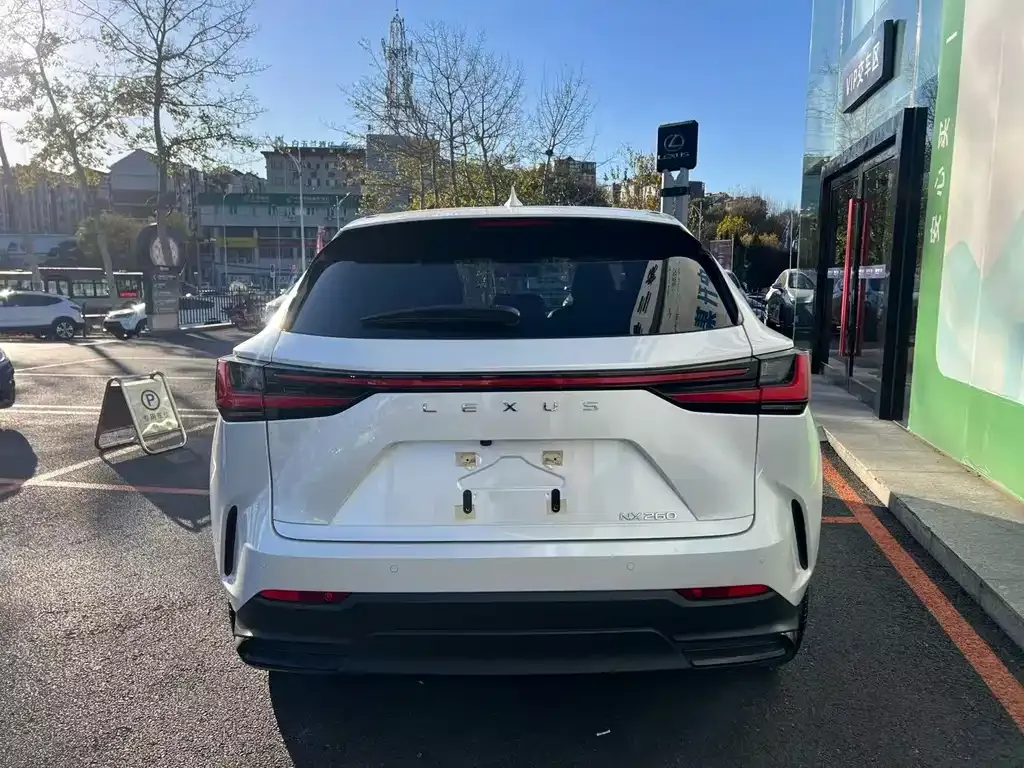 Lexus NX 2023 из CN, фото 4