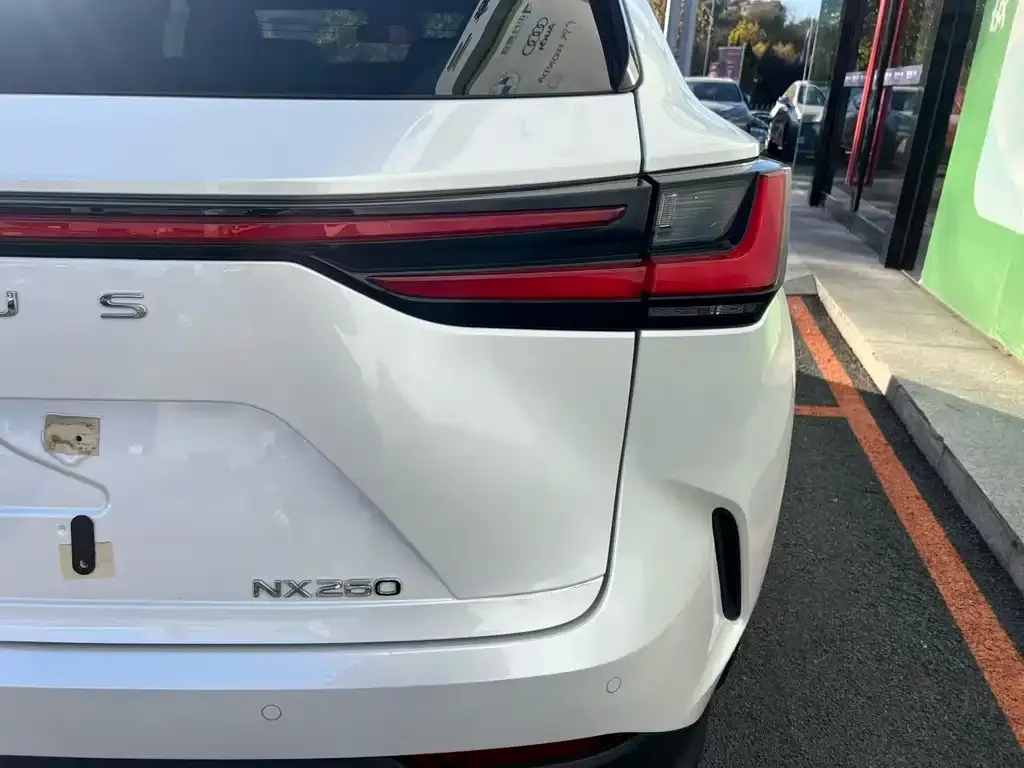 Lexus NX 2023 из CN, фото 5