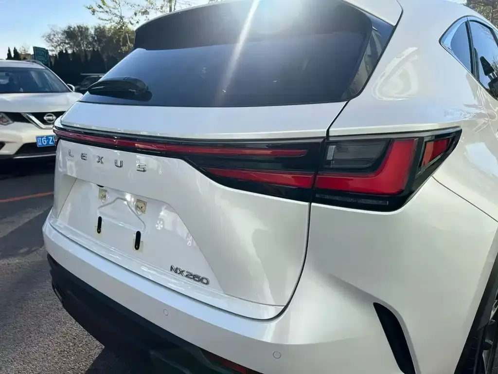 Lexus NX 2023 из CN, фото 6