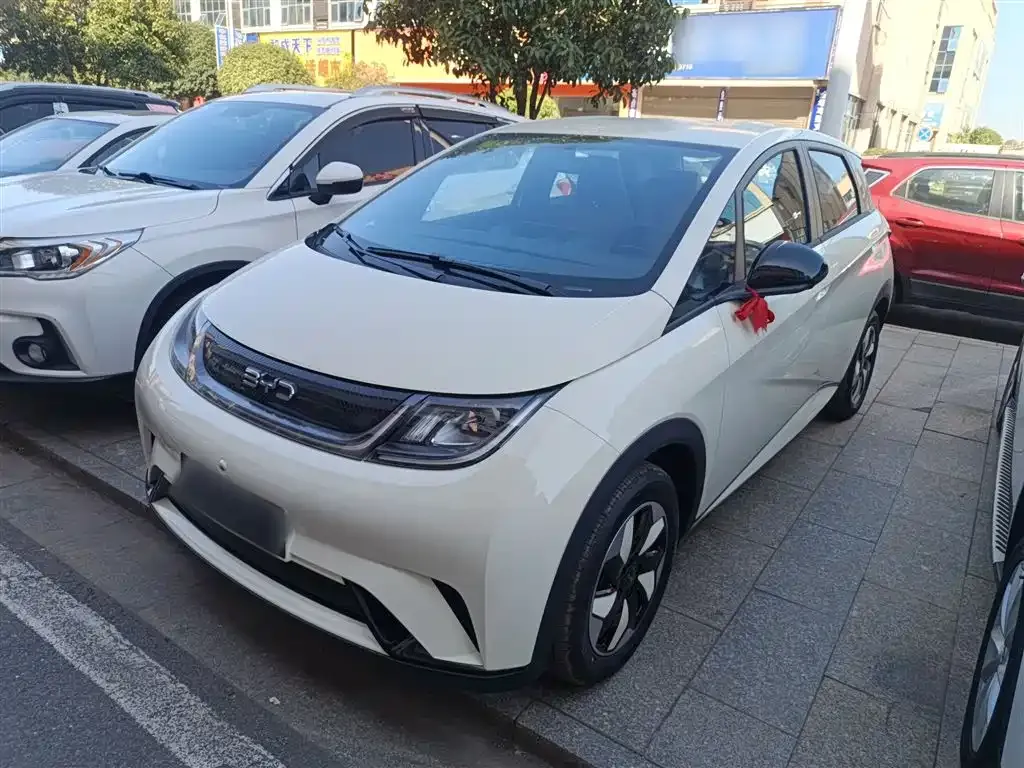 BYD Dolphin 2025 из CN, фото 1