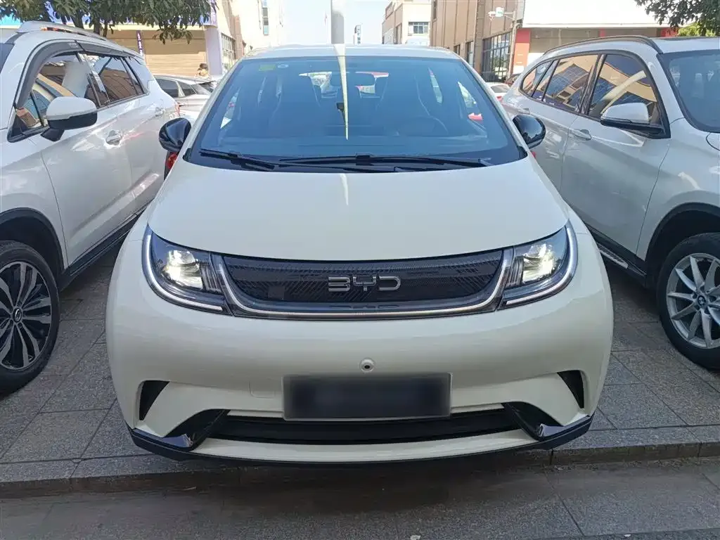 BYD Dolphin 2025 из CN, фото 3
