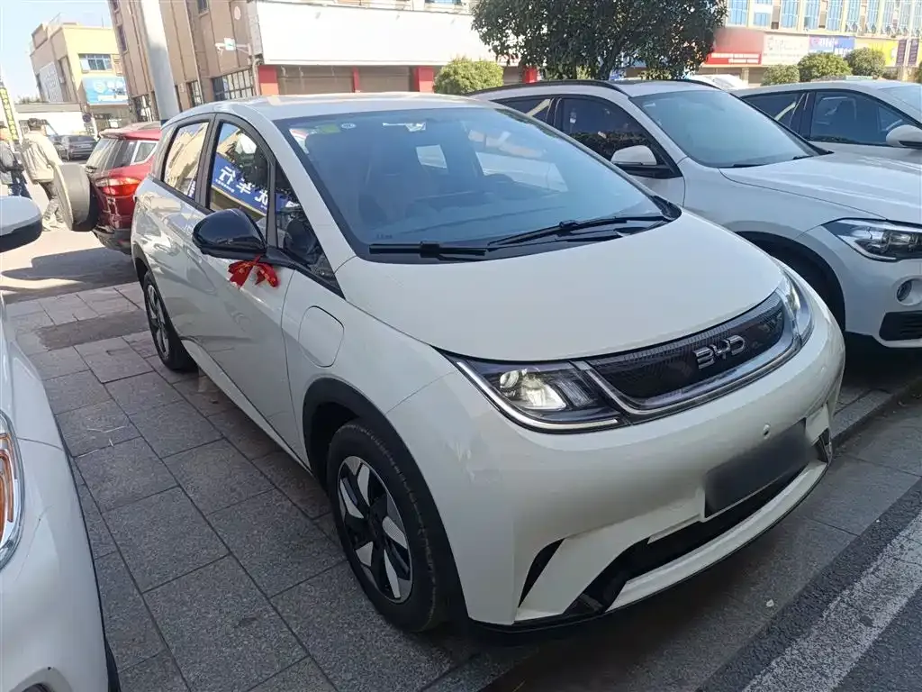 BYD Dolphin 2025 из CN, фото 4
