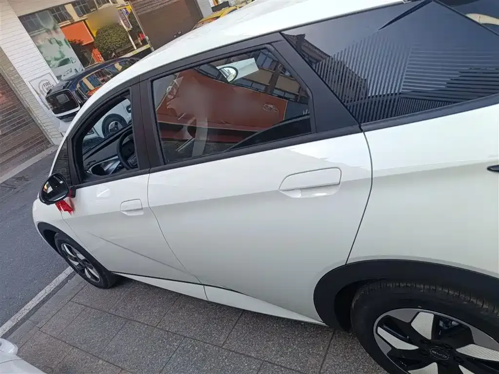 BYD Dolphin 2025 из CN, фото 5