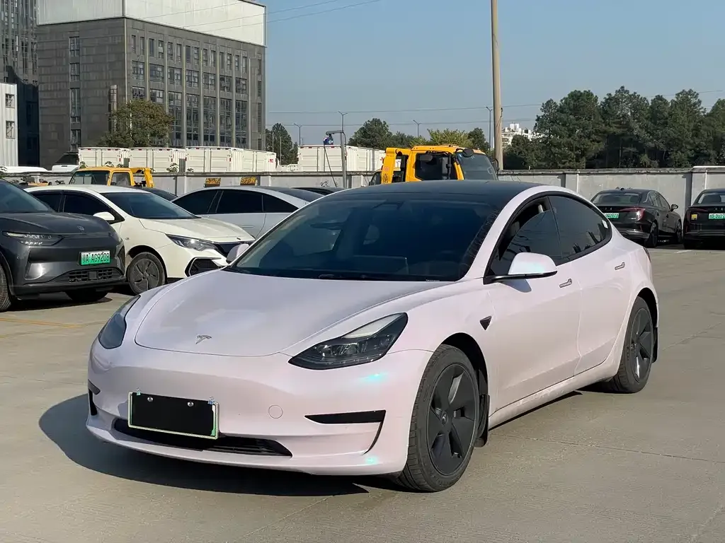 Tesla Model 3 2021 из CN, фото 1