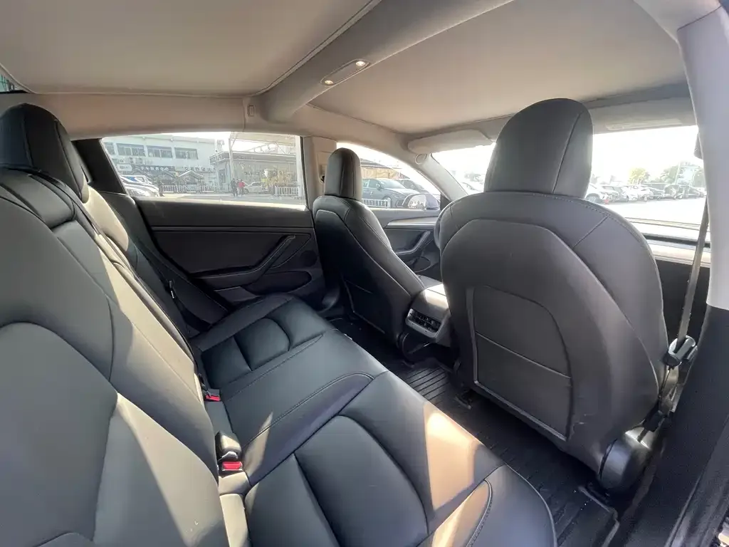 Tesla Model 3 2021 из CN, фото 10