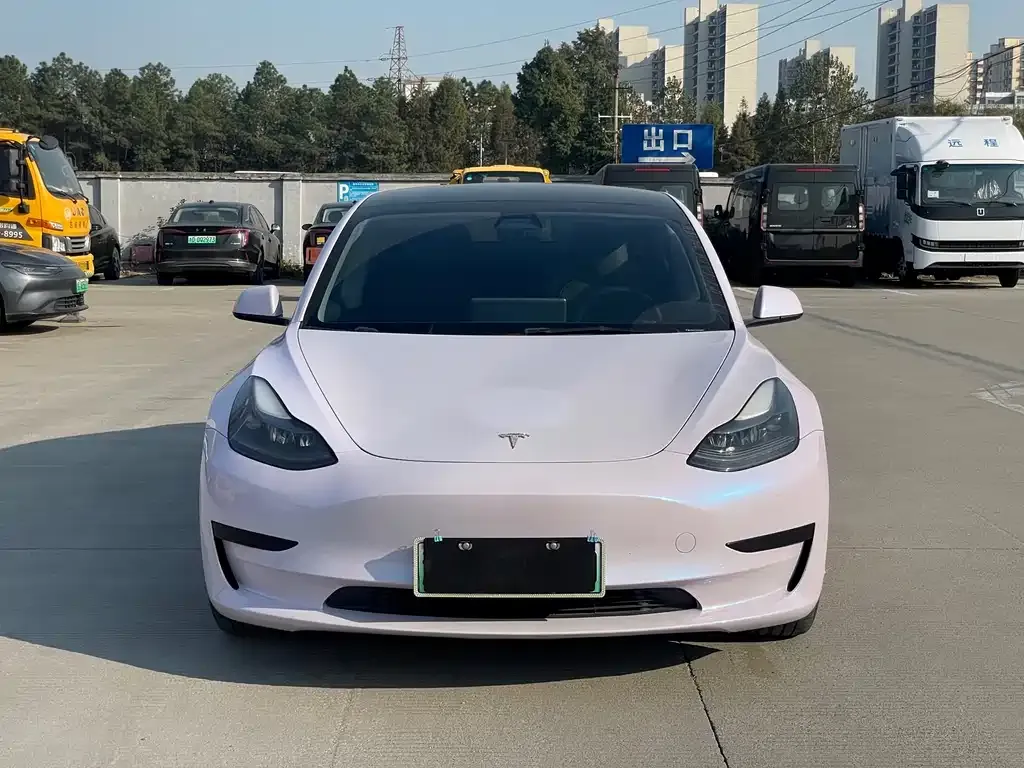Tesla Model 3 2021 из CN, фото 2