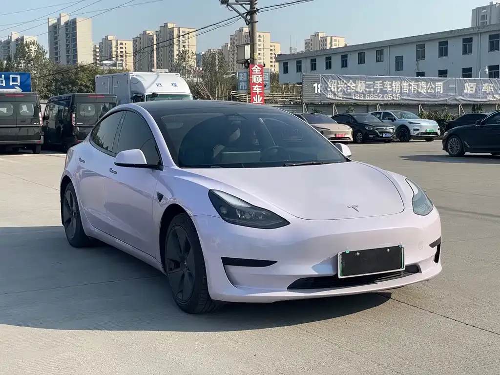Tesla Model 3 2021 из CN, фото 3