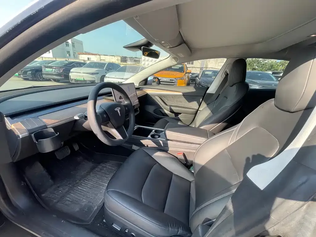 Tesla Model 3 2021 из CN, фото 4