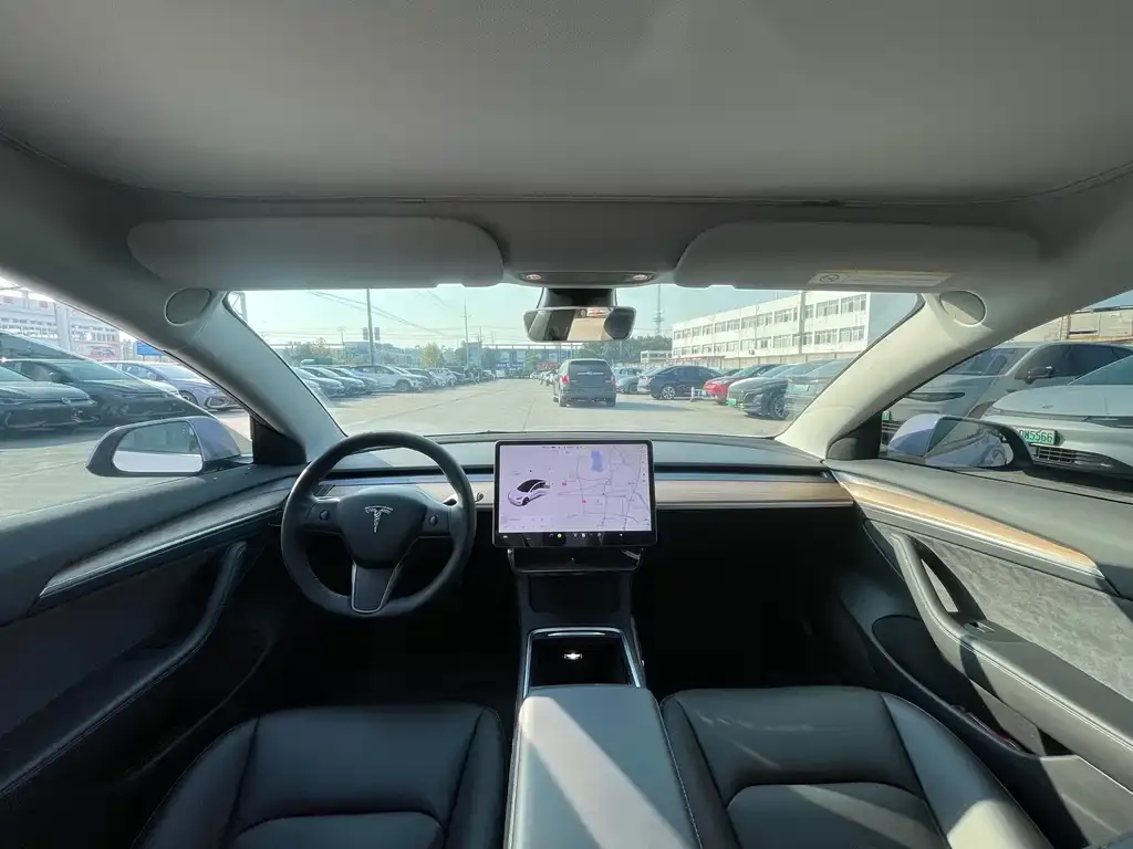 Tesla Model 3 2021 из CN, фото 5