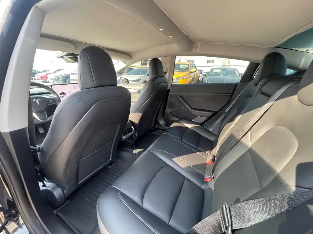 Tesla Model 3 2021 из CN, фото 6