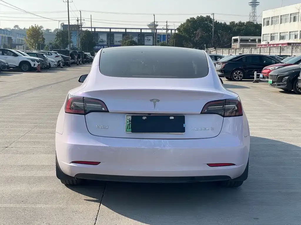 Tesla Model 3 2021 из CN, фото 8