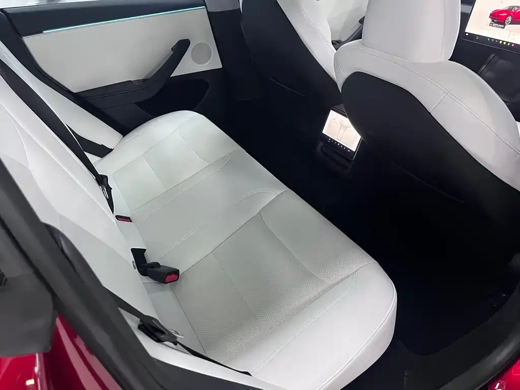 Tesla Model 3 2023 из CN, фото 7