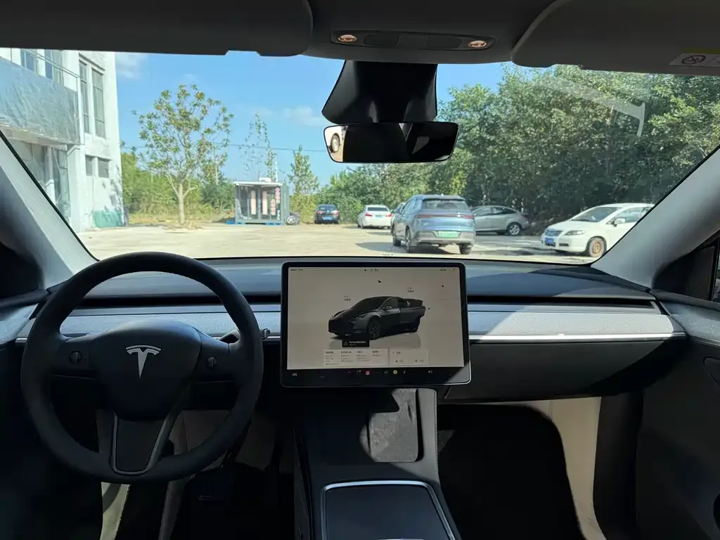Tesla Model Y 2024 из CN, фото 6