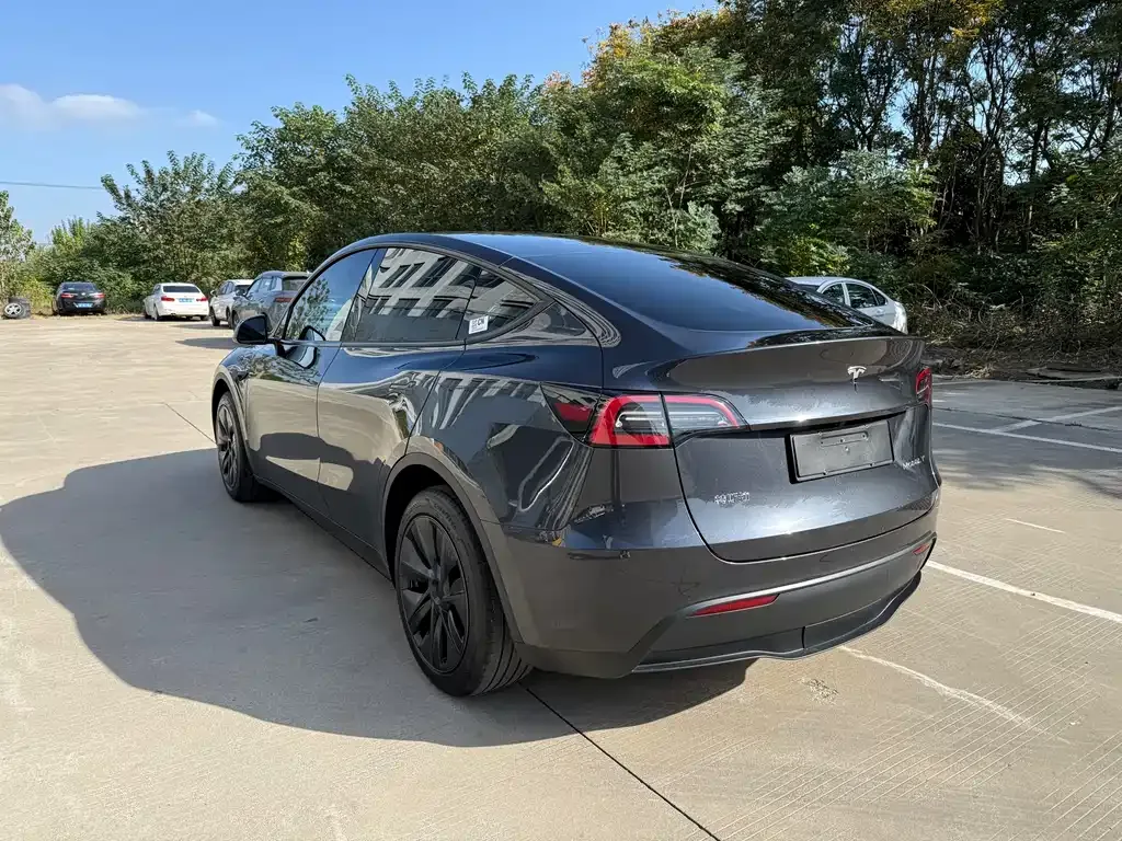 Tesla Model Y 2024 из CN, фото 7