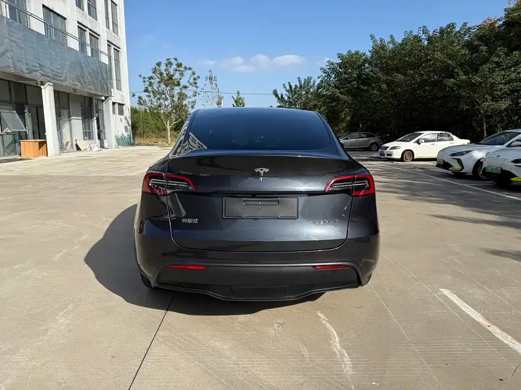 Tesla Model Y 2024 из CN, фото 8